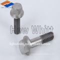 Titanium flange head bolt